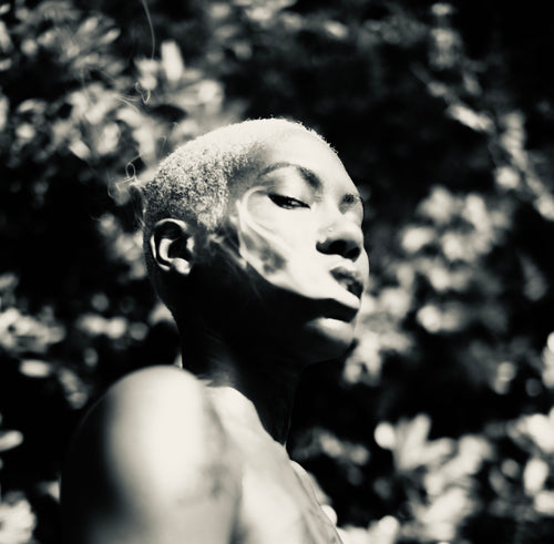 Confident Bartending Cheat Sheet!